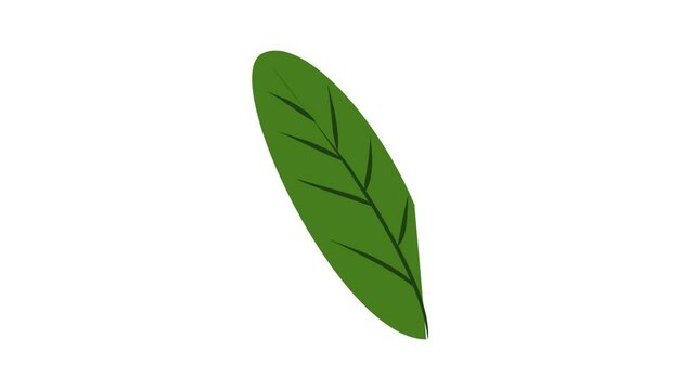 Green banana leaf icon animation