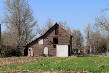 Obraz premium old wooden barn in the field with green grass, blue sky, and tree's in Sterling Kansas USA.
