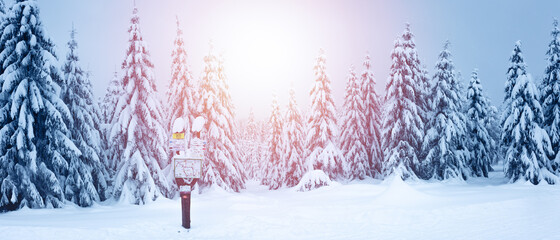 Winter landscape in the mountains, tourist signpost, snow-covered trees on the hiking trail.
