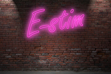 Neon E-stim electrostimulation (in german Elektrostimulation) fetish lettering on Brick Wall at night