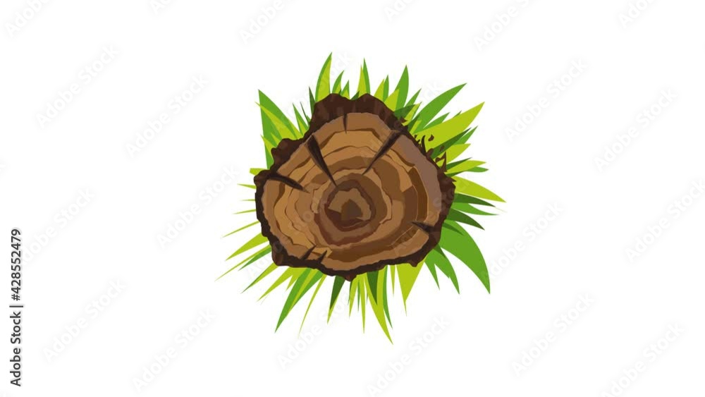 Poster top view tree stump icon animation