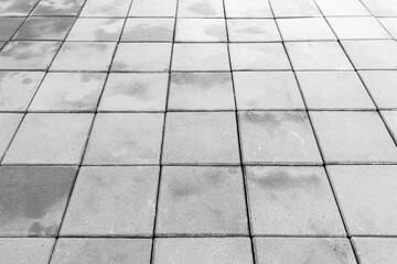 Perspective View Monotone Gray Brick Stone Pavement on The Ground for Street Road