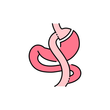 Gastric Bypass Roux-en-Y Olor Line Icon. Pictogram For Web Page, Mobile App, Promo.