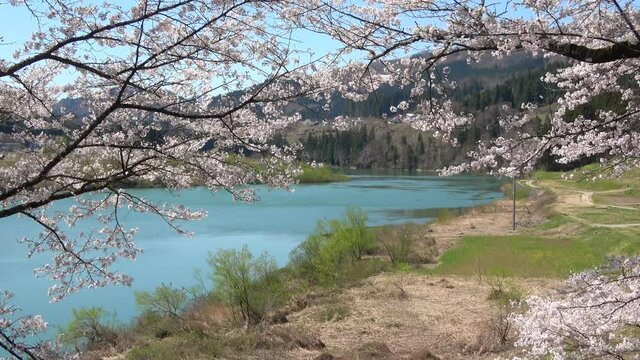 春の只見川（福島県・柳津町）
