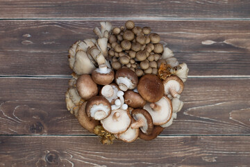 Variety of uncooked wild forest mushrooms in a basket on a wooden old board.