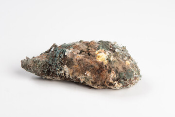 moldy food fungi mold on rotten sweet potato