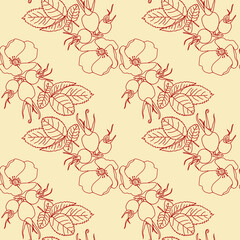 Seamless print. Flowers, seed pods and rosehip leaves. Floral drawing.
