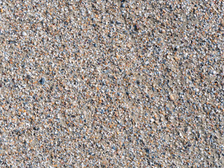 Various broken seashells fragments on the sandy beach. Background texture with small fragments of seashells