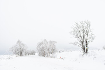 Winter landscape with snow-covered trees on the mountain road. Sudetes covered with white snow.