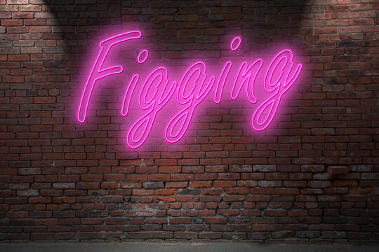Neon anal Figging lettering on Brick Wall at night