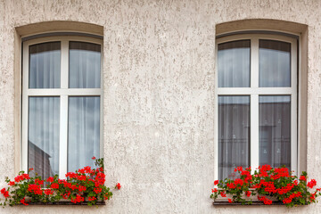 Fototapeta na wymiar Windows with red flowers