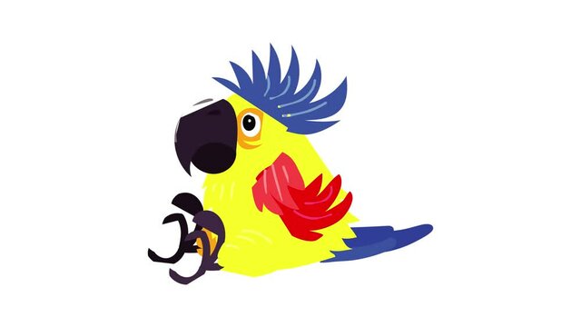 Sitting parrot icon animation
