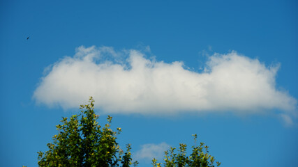 White cloud against the blue sky.