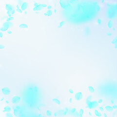 Fototapeta na wymiar Turquoise flower petals falling down. Magnetic rom