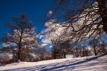 
Winter landscape in Romania