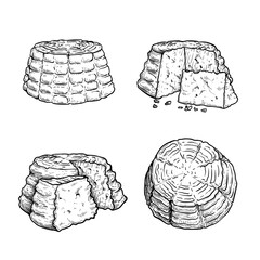 Italian cheese Ricotta set. Hand drawn sketch style drawings. Traditional Italian  cheese collection. Vector illustrations isolated on white background.