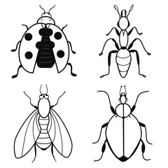 Set of insects icons: ladybug, ant, fly, potato beetle. Contour sketch. Idea for decors, logo, patterns, papers, covers, gifts, summer and autumn garden, insect natural themes. Isolated vector art.