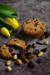 chocolate cookies and tulips on a gray background