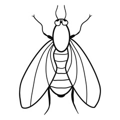 Contour fly icon. Creative illustration. Black sketch. Idea for decors, logo, patterns, papers, covers, gifts, summer and autumn garden, insect natural themes. Isolated vector art.