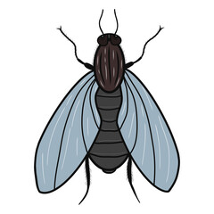 Fly icon. Creative illustration. Colorful sketch. Idea for decors, logo, patterns, papers, covers, gifts, summer and autumn garden, insect natural themes. Isolated vector art.