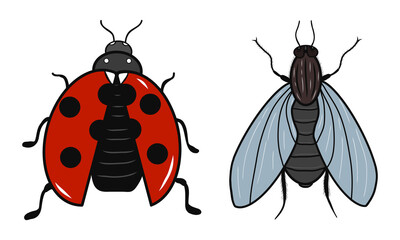 Ladybug and fly icons. Creative illustrations. Colorful sketch. Idea for decors, logo, patterns, papers, covers, gifts, summer and autumn garden, insect natural themes. Isolated vector art.