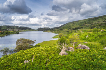 Beautiful lake, Looscaunagh Lough, with green ferns, bushes and surrounded by hills of Molls Gap, MacGillycuddys Reeks, Ring of Kerry, Ireland