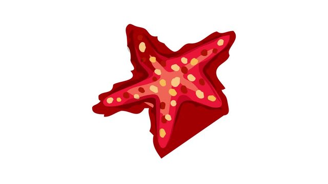 Aquarium sea star icon animation