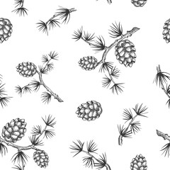 Hand drawn pine branch seamless pattern on white background, cone, needles, hand draw, decorative botanical illustration for design, Christmas tree, vector