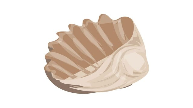 Pearl sea shell icon animation