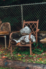 Teddy in a garden chair