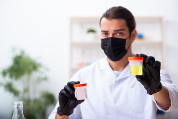 Young male chemist working in the lab