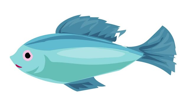 Tropical blue fish icon animation