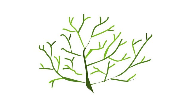 Aquarium thin plant icon animation