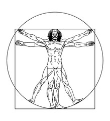 Vector vitruvian man illustration
