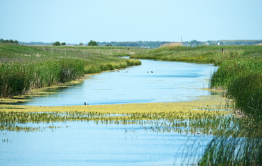 Oak Hammock Marsh