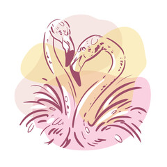 Two flamingos sketch. Hand drawn color illustration. Vintage poster.