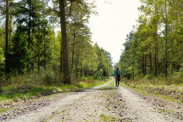 walking in the forest. hiking woman.