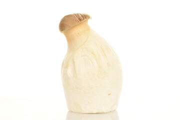 One organic eringi mushroom, close-up, isolated on white.