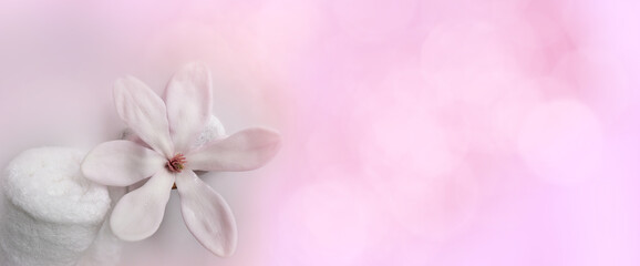 beautiful pink magnolia flower, smooth white stones, white towel rolled up, concept of wellness spa treatments for the beauty of mind and body, massage, serenity, banner, panorama