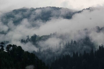 fog in the mountains