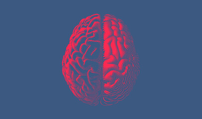 Red engraving hemispheres brain top view illustration on blue BG
