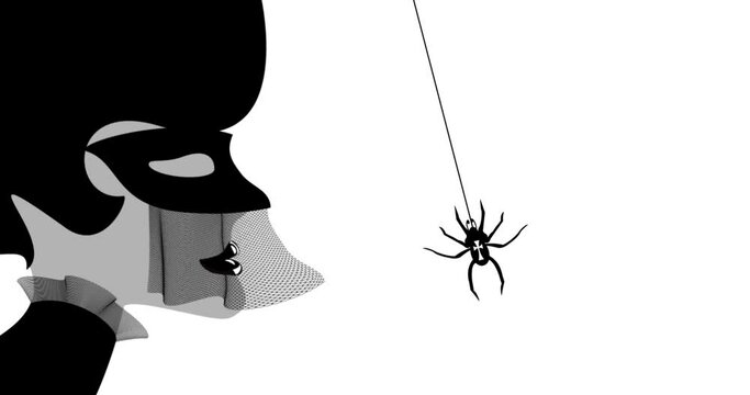 the gothic dame and the spider