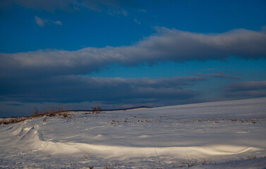 
Winter landscape