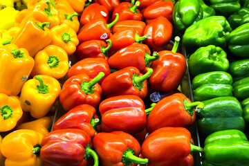 red yellow and green peppers