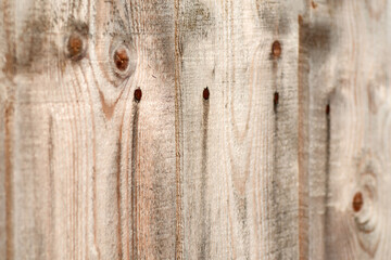 Old raw textured wood boards. Selective focus.