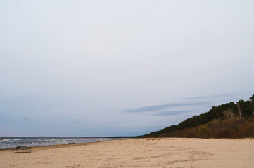 Scenic landscape of Baltic sea. Sand beach. Green trees. Beautiful nature in Jurmala, Latvia. Blue hour.