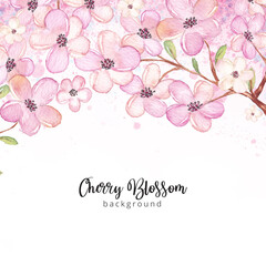 Watercolor cherry blossom background