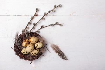Naklejka na ściany i meble quail eggs in a nest with feathers and willow twigs on a white background top view