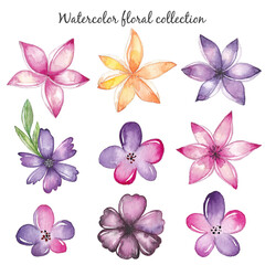 Fototapeta na wymiar Watercolor flowers set