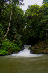 waterfall in the forest